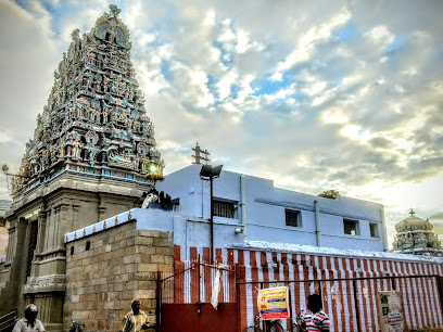 Veeraraghavapuram Varadharaja Perumal Temple – Thirunelveli