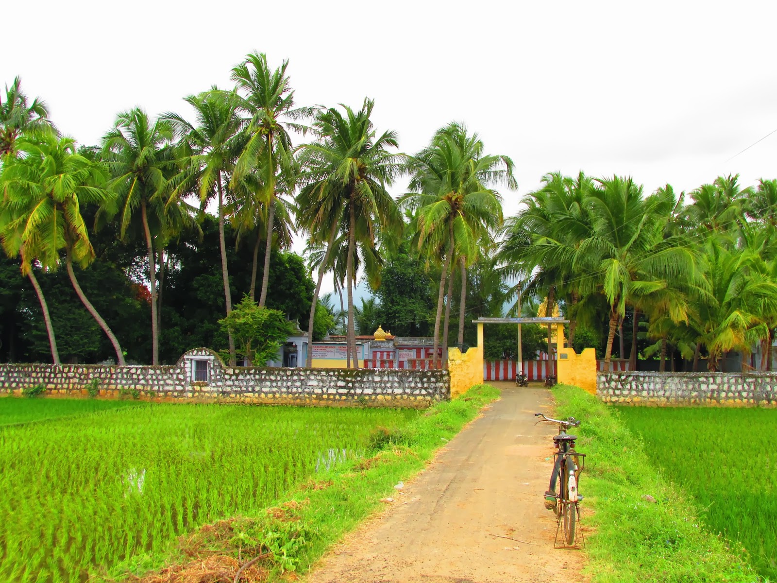 Pappankulam Sadaiudayar Temple – Thirunelveli