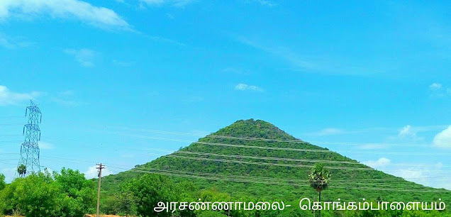 120 வருடங்களுக்கு ஒருமுறை சித்தர்கள் பூசை செய்யும் அக்னீஸ்வரர், அரசண்ணாமலை!