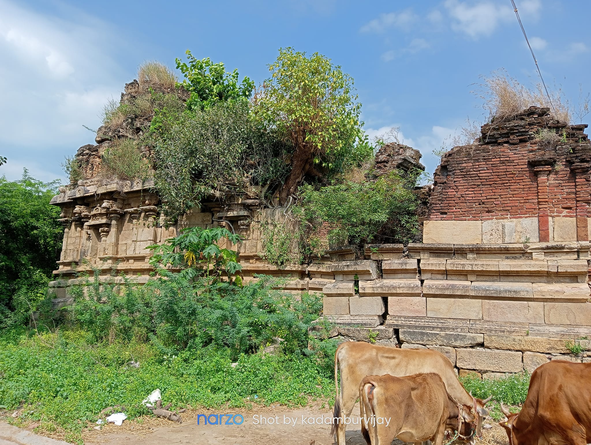 ஆற்காடு ஆனந்தீஸ்வரர் சிவன்கோயில், தஞ்சாவூர்