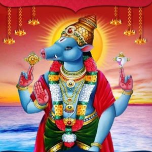 Varaha Jayanthi Online Pooja