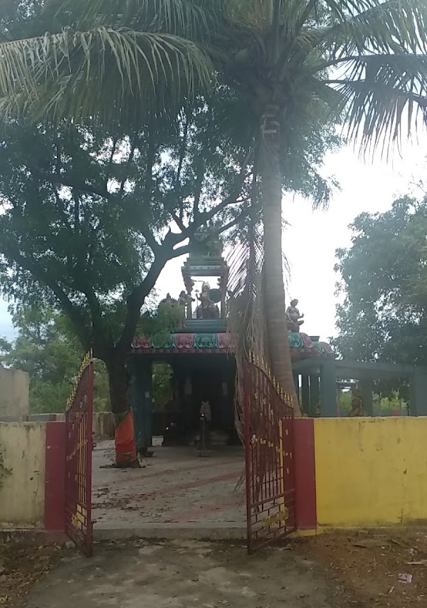 Santhaveli pettai Uruppidi Amman Temple, Cuddalore