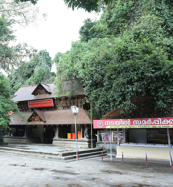 Alappuzha Haripad Mannarasala Sree Nagaraja Temple – Kerala