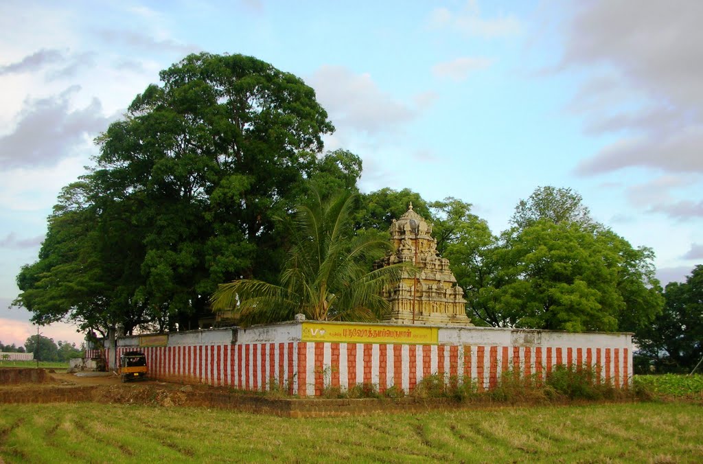 Ambasamudram Purushothama Perumal Temple – Thirunelveli