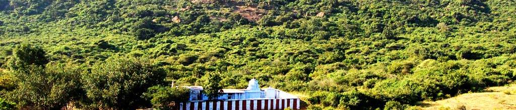 Kozhundhu Malai Balasubramanya Swamy Temple – Thirunelveli