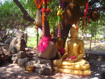 Wat Tuek Buddhist Chedi, Thailand