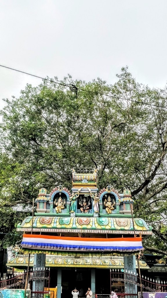 வில்லிவாக்கம் தேவி பாலியம்மன் கோவில், சென்னை