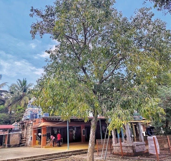 Muttam Nageswarar Temple, Coimbatore