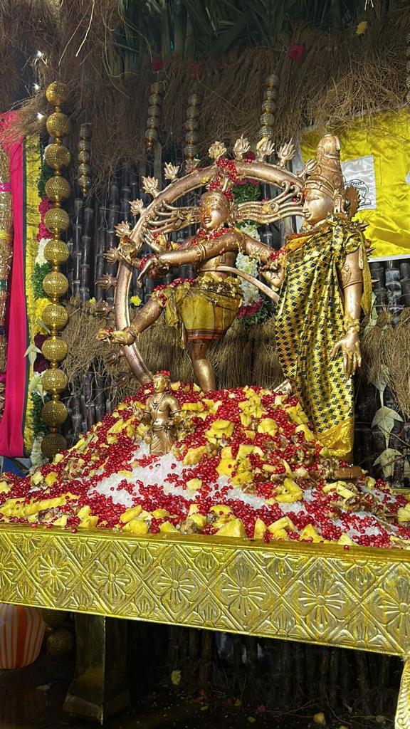 திருவெறும்பூர் ஸ்ரீ எறும்பீஸ்வரர் கோயிலில் ஆருத்ரா தரிசனம்
