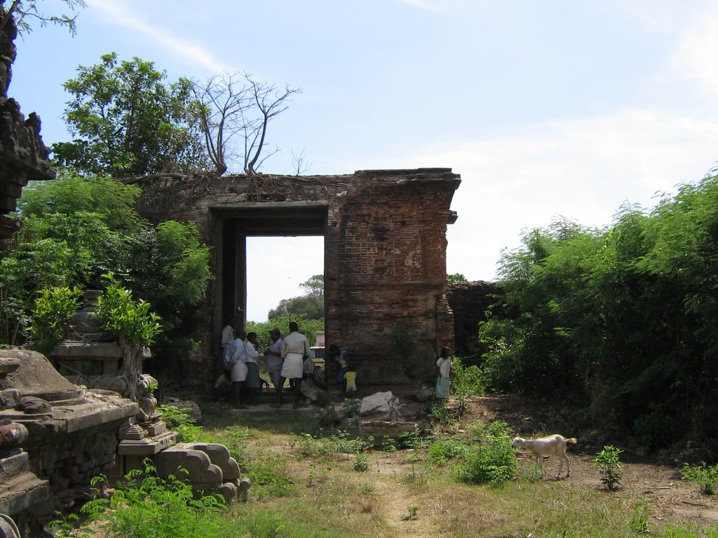 Sri Adhi Narayana Perumal Temple, Pulicat