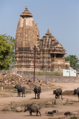Khajuraho Vamana Temple, Madhya Pradesh