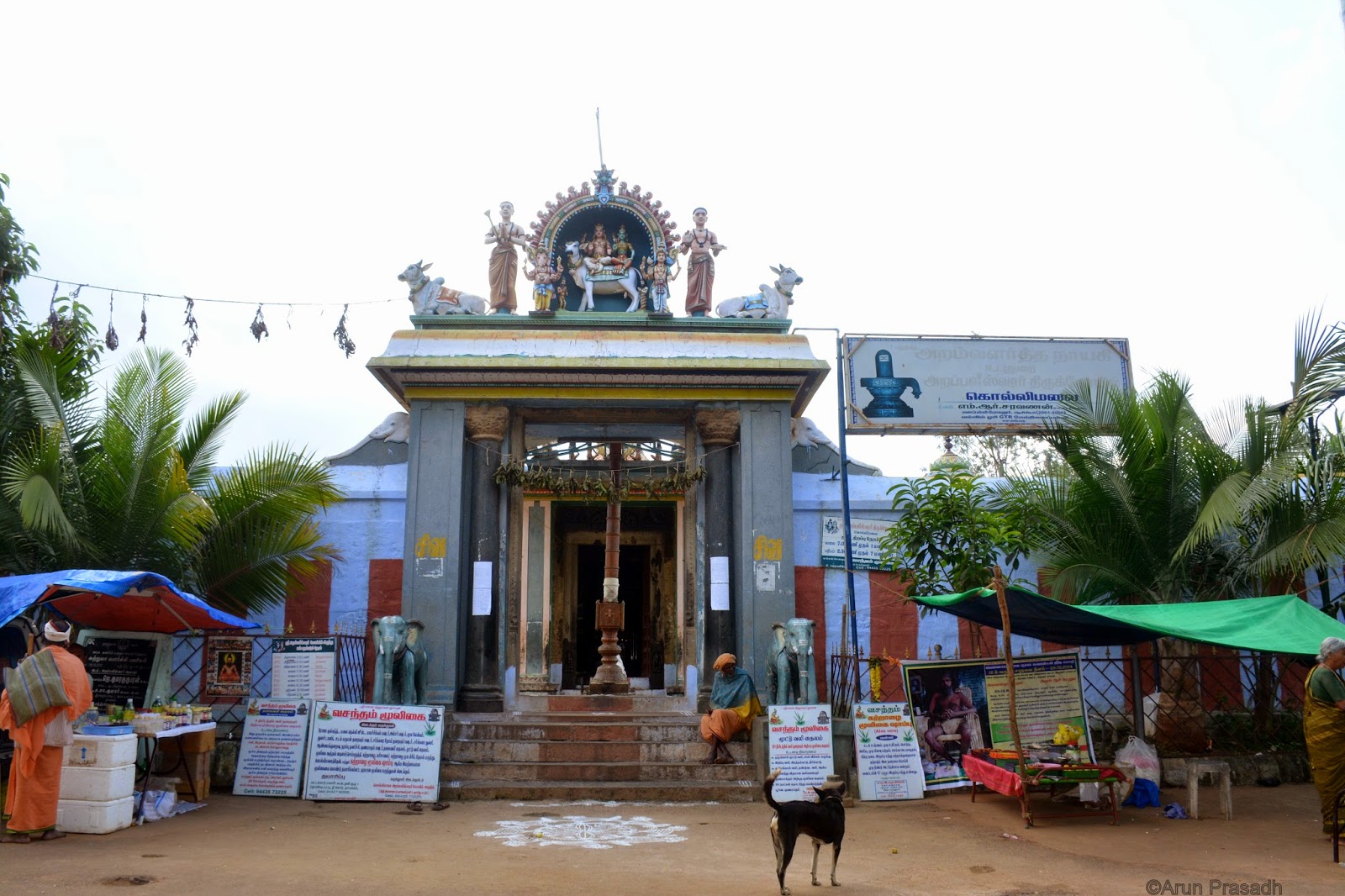 Kolli Hills Arapaleeswarar Temple-  Namakkal