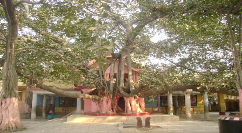 Sri Nandikeshwari  Nandini Shakti Peeth Temple,  West Bengal
