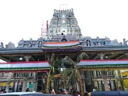 Sir Vaikuntha temple, Thirupparamapadham