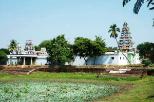 Sri Thanthondreeswarar Temple, Iluppaikudi