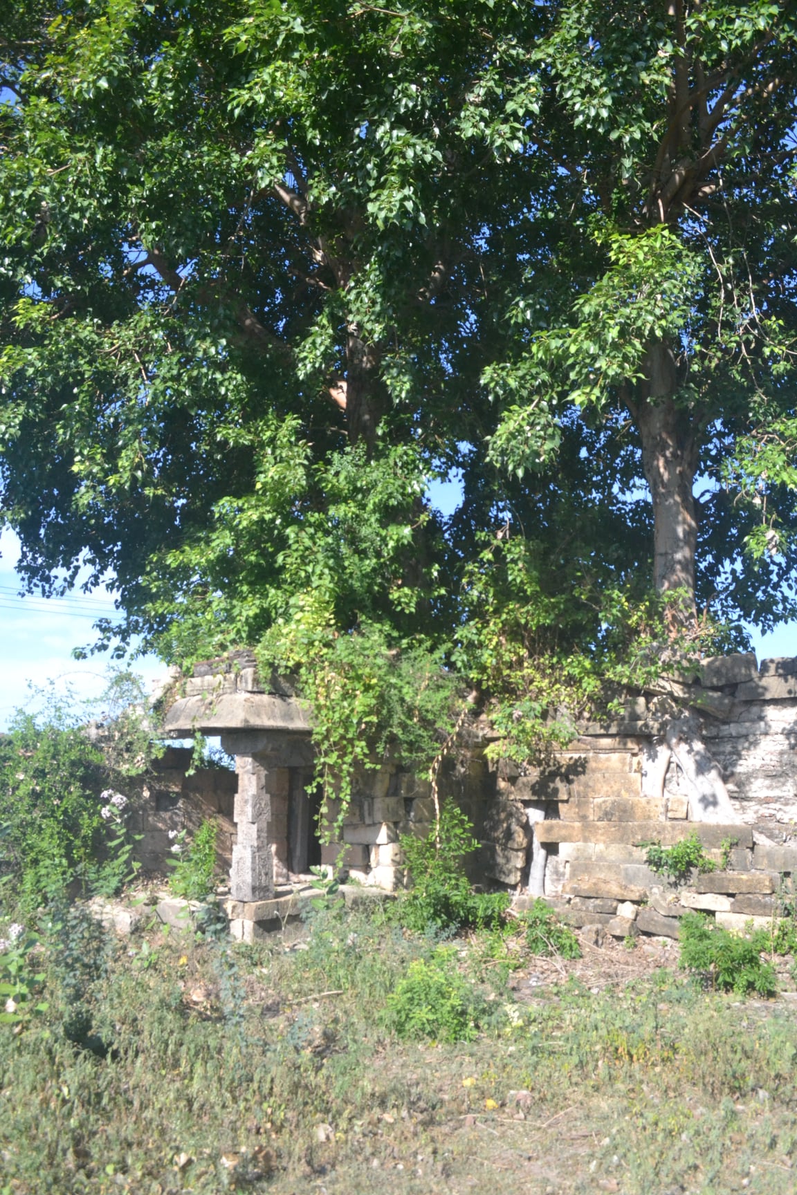 Kovil Kothanur Pasupathiswarar Shiva Temple,  Cuddalore